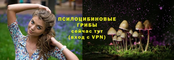 круглые Козельск